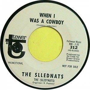 SLLEDNATS (Standells) Don't Tell Me What To Do / When I Was A Cowboy (Tower ‎– 312) USA 1967 white label PROMO 45